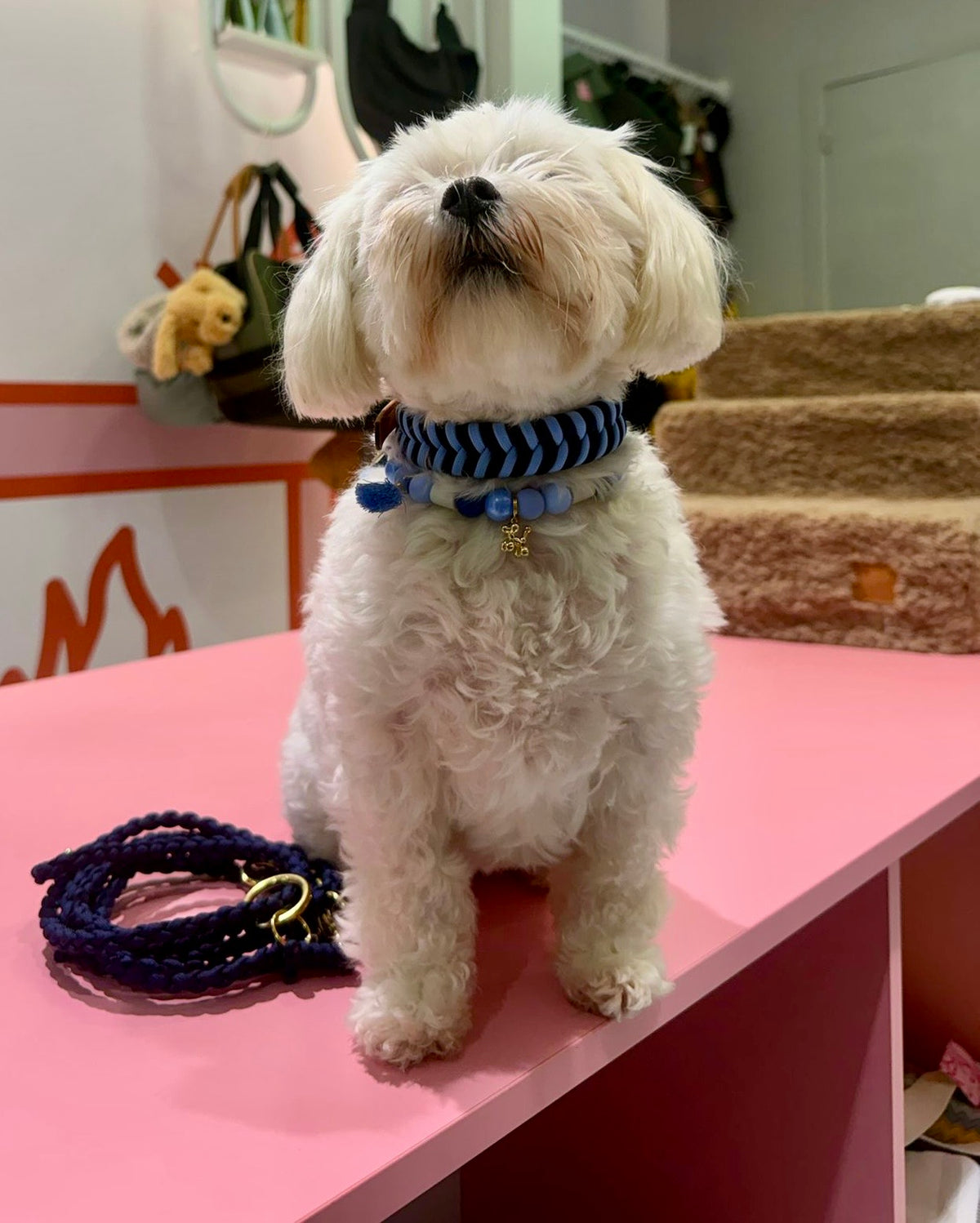 Riviera Collection - Nice halsband