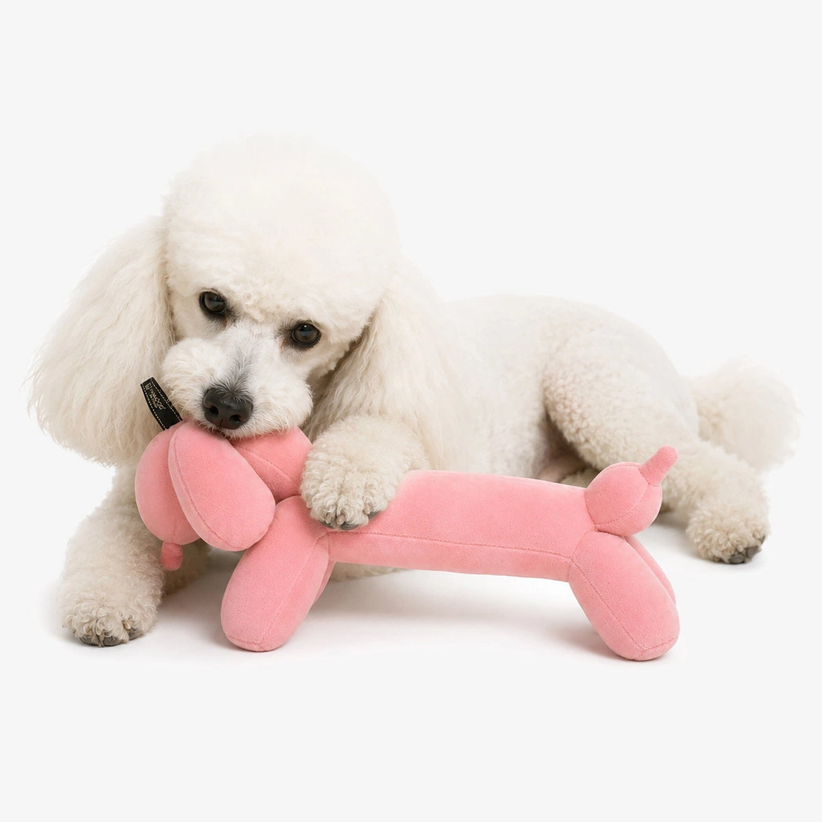 Twister sister pink