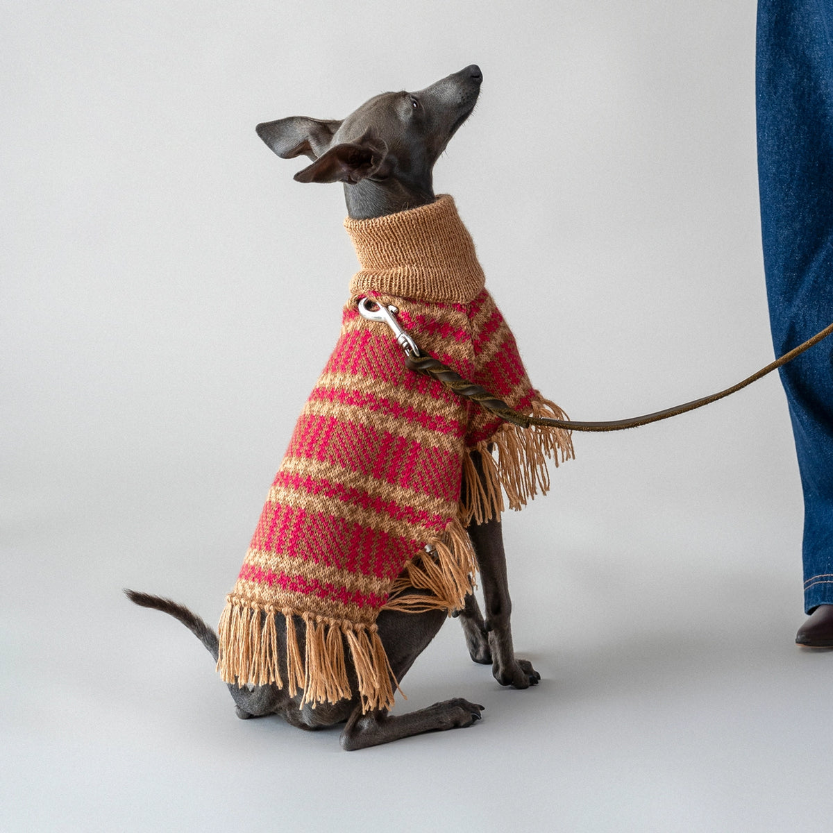 Camelberry Alpaca Poncho