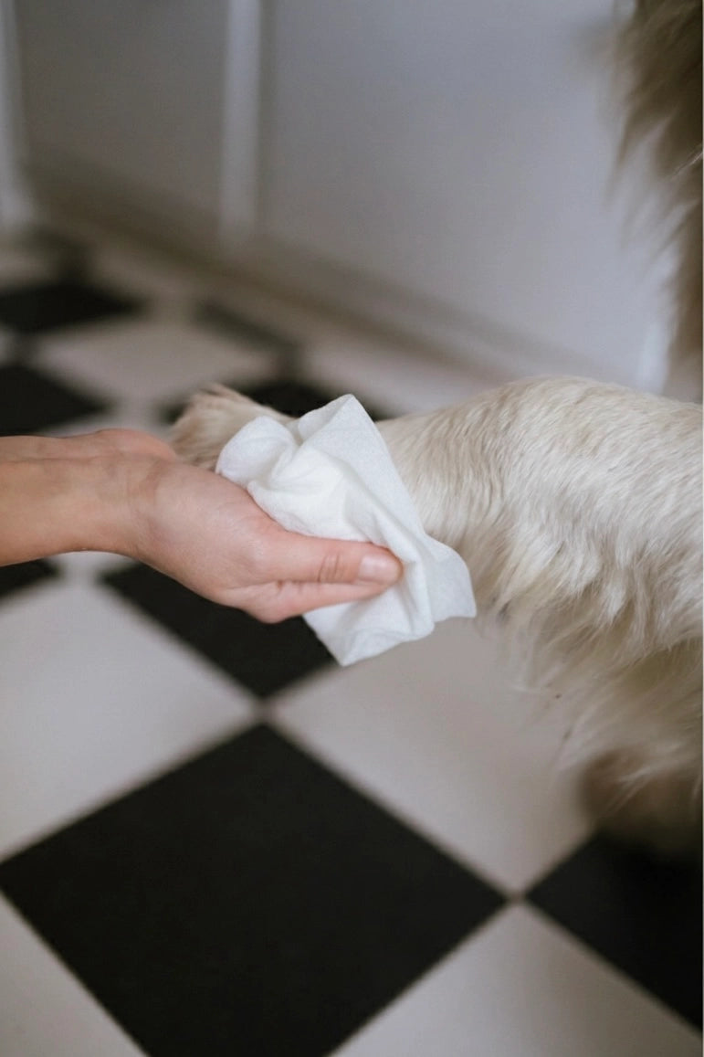 Chamomile Paw Wipes