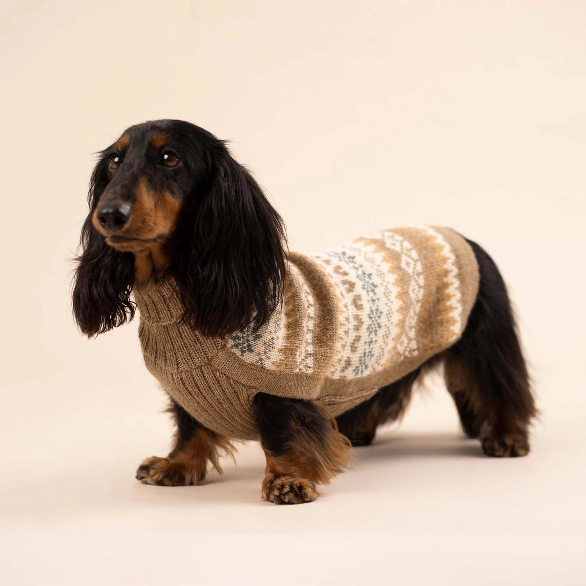 Cozy autumn Alpaca pull