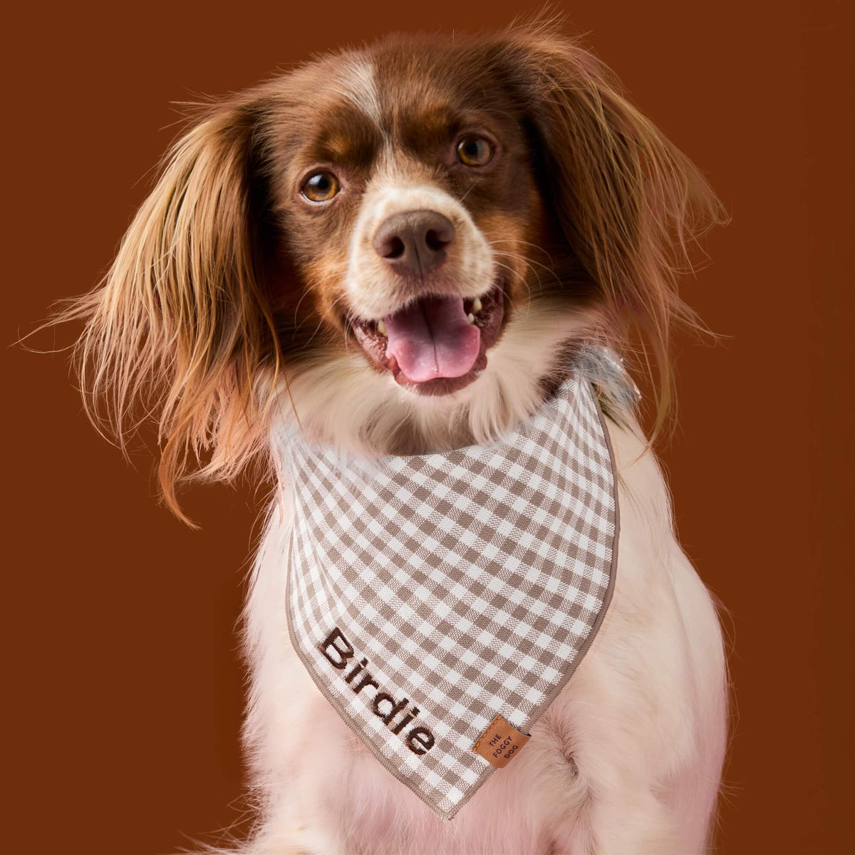 Gingham brown bandana