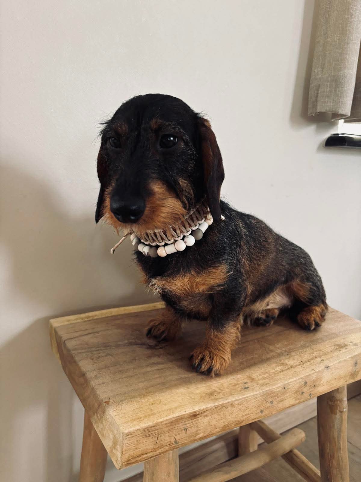 Riviera Collection - Antibes tekenband