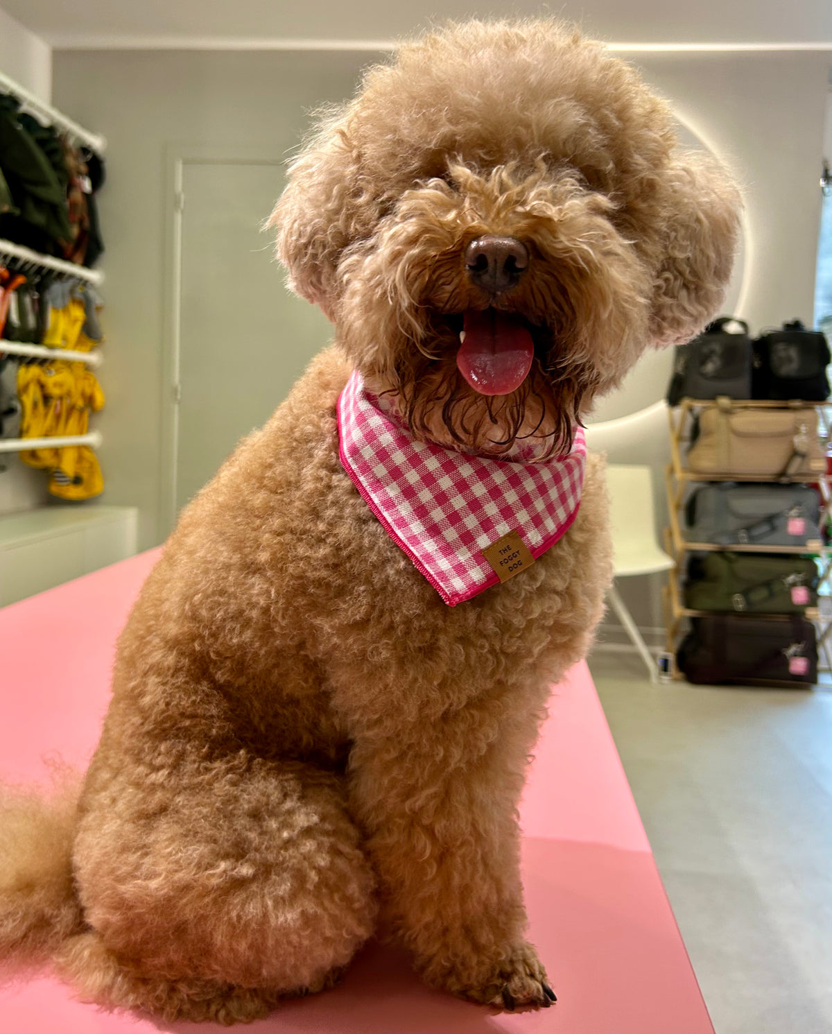 Gingham pink bandana