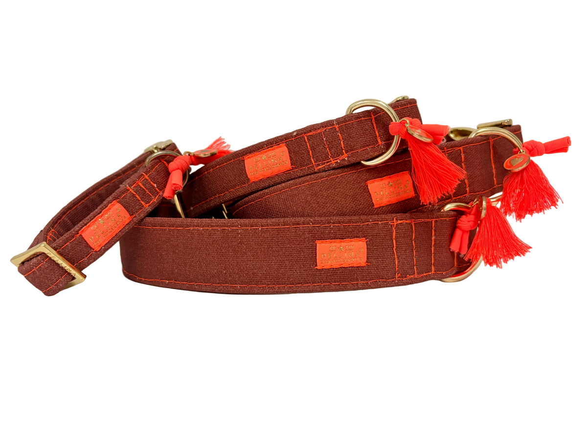 Royal Cinnamon halsband