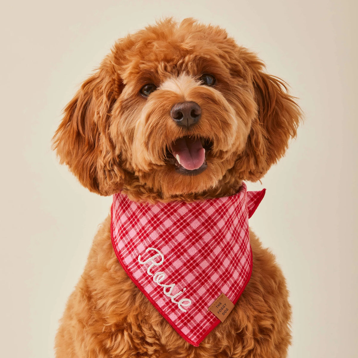 Heather Taylor Home x TFD Katherine Plaid Valentine bandana