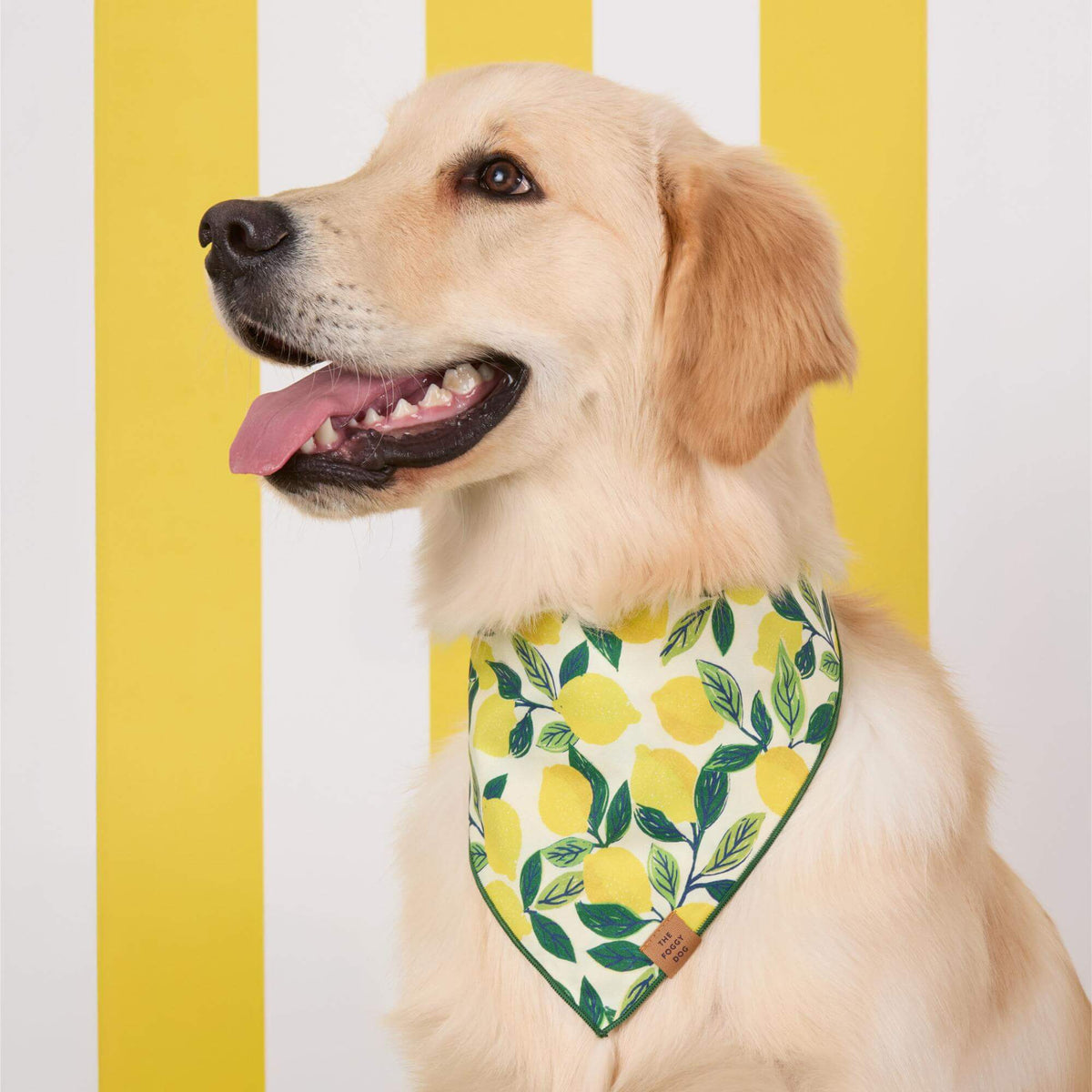Lemon up bandana