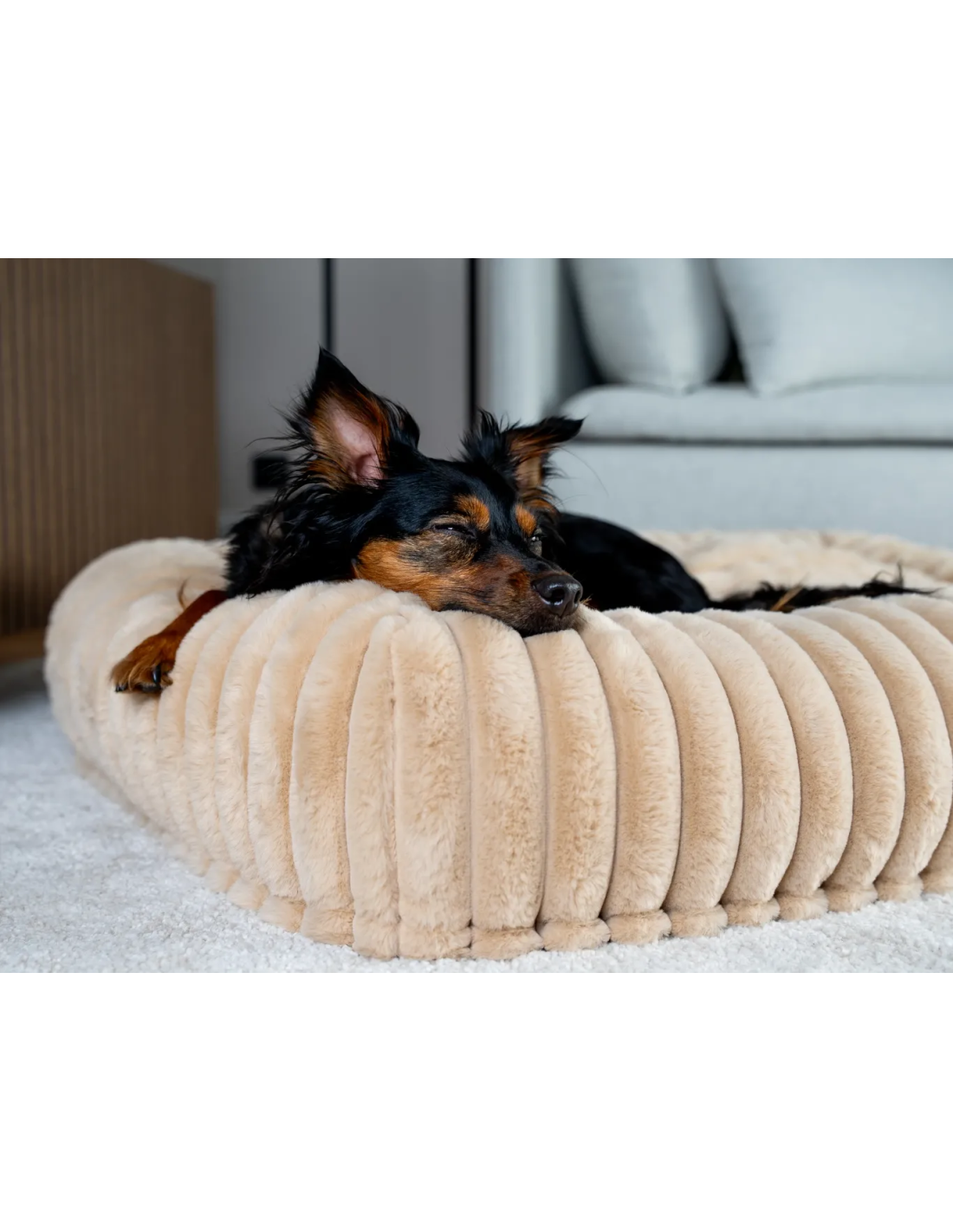 Biscuit bed beige