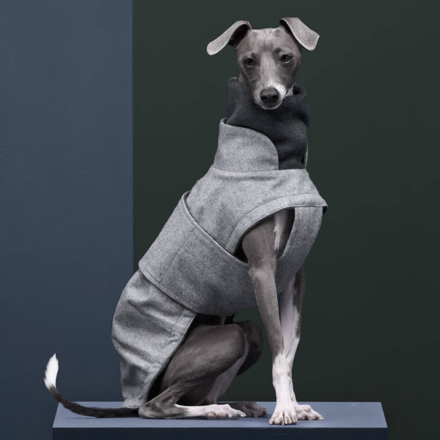 Gray Greyhound Flannel Gray Italian Greyhound Special