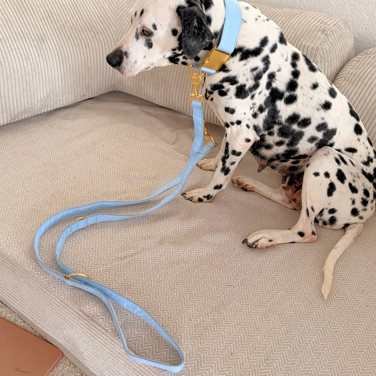 Cotton blue aanpasbare leiband