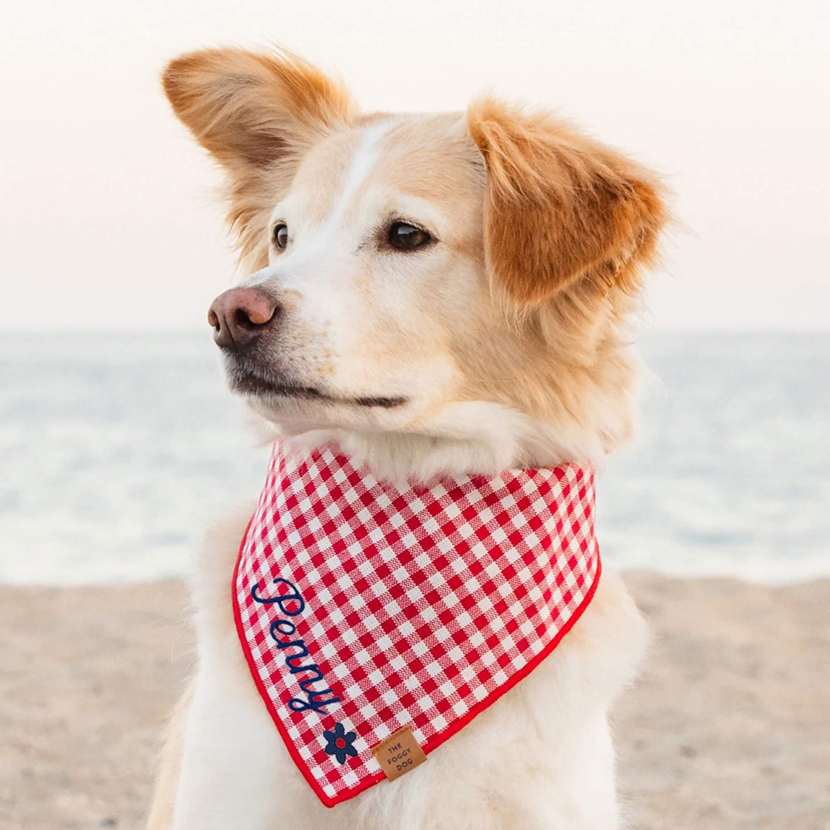 Gingham red bandana