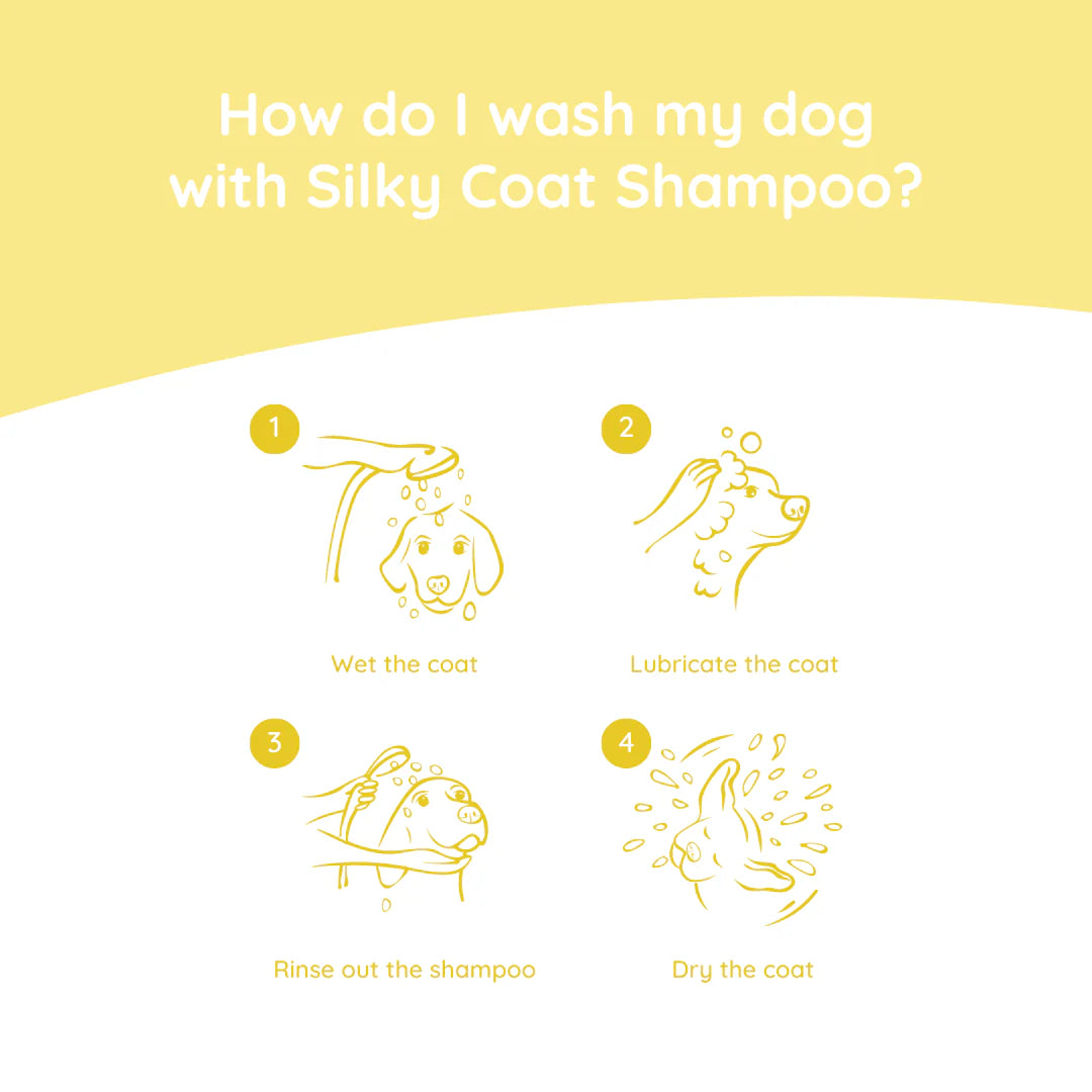 Silkey Coat Shampoo