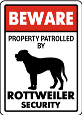 Rottweiler on patrol