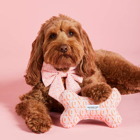 Hugs & Kisses bone toy