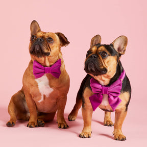 Wedding Plum Velvet strik