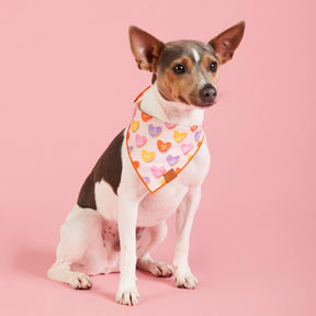 Candy Hearts bandana