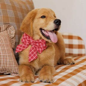 Heather Taylor Home X TFD Katherine Plaid Valentine Lady Dog Bow