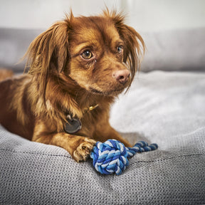 Puppy rope bal blue
