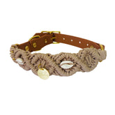 Apollo beige schelpen halsband