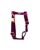 Sweaty Berry Harness