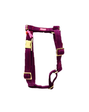Sweaty Berry Harness