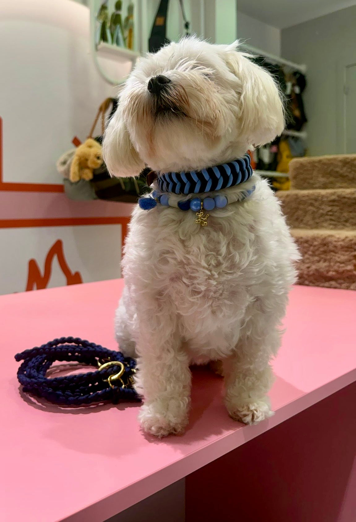 Riviera Collection - Nice halsband