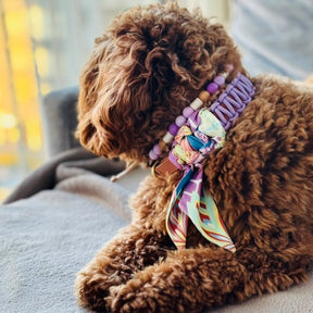 Lilly Purple Collar