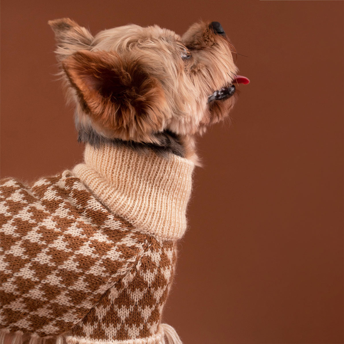 Chestnut Alpaca Poncho