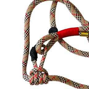 3 meter adjustable leash - pawberry