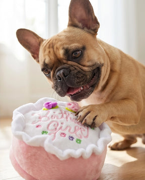 Fille d'anniversaire - smash cake