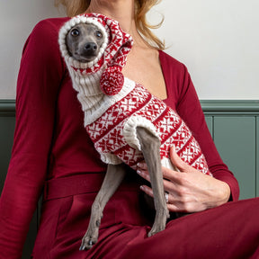 Christmas snowflake dog hat