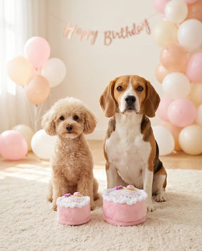 Fille d'anniversaire - smash cake