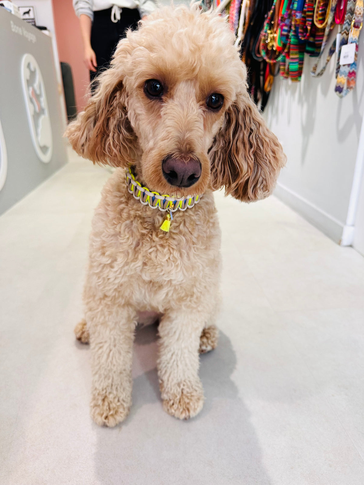 The Ice Cream Collection - Collar vaniglia