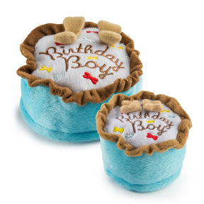 Mini Birthday boy - smash cake