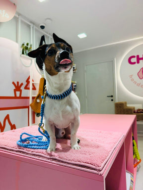 Riviera Collection - Nice halsband