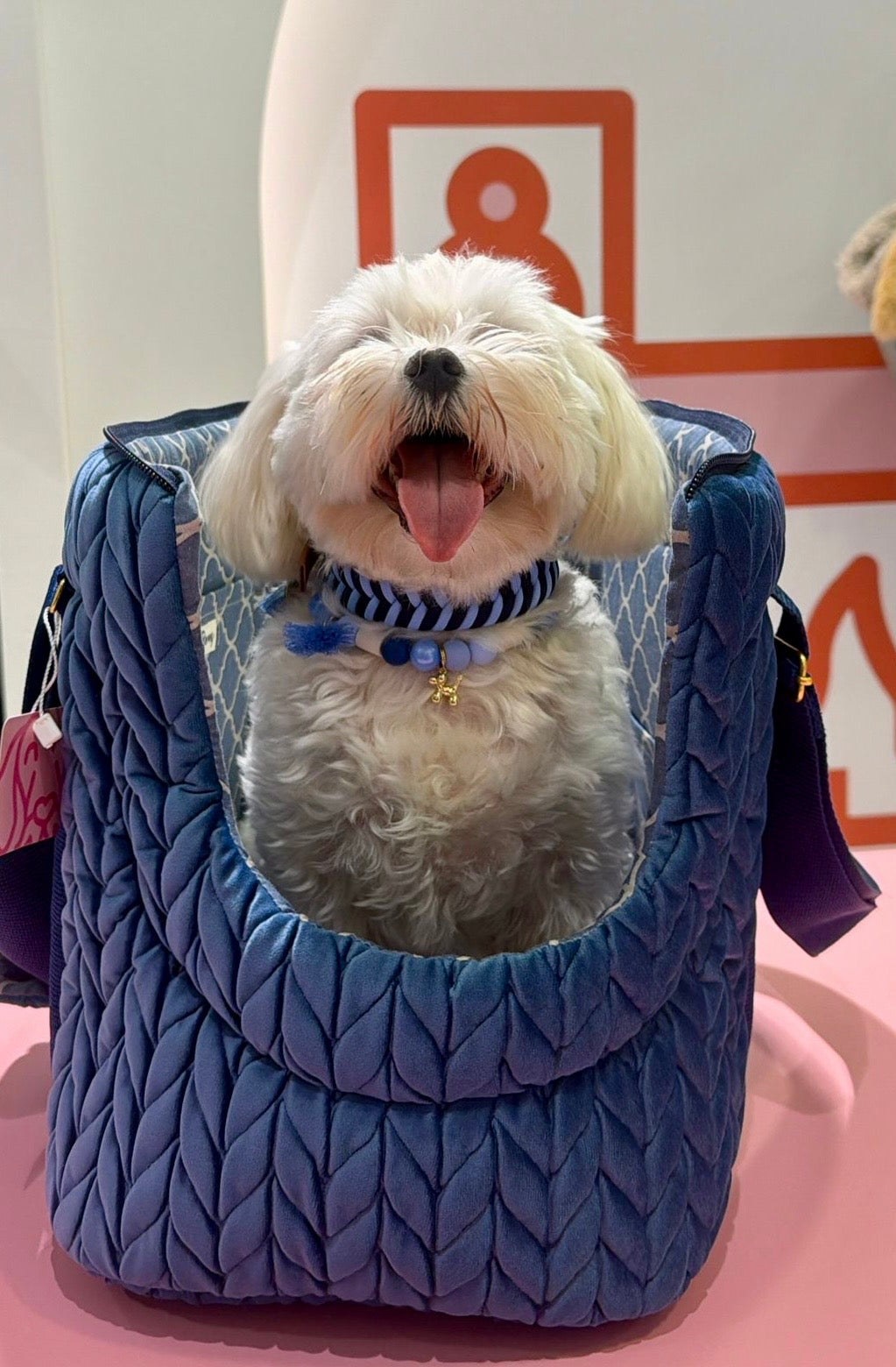 Riviera Collection - Nice halsband