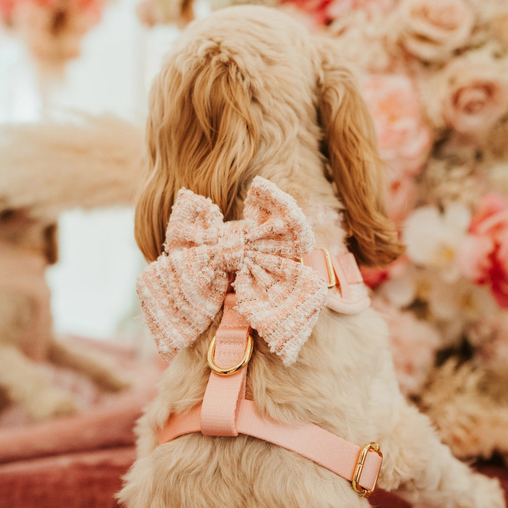 Lady Bow rosa