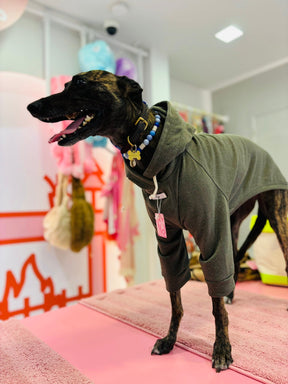 Fontana Groen-Whippet