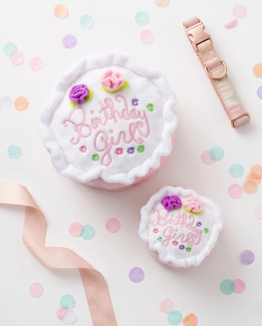 Fille d'anniversaire - smash cake