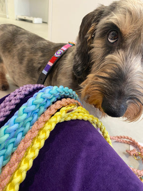 Chew Mythical Collection Artemis - Collar