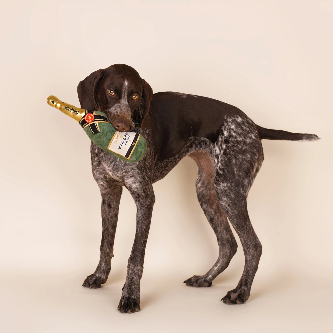 Woof & Pawty Champagne