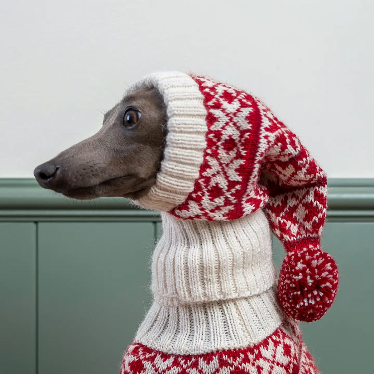 Christmas snowflake dog hat