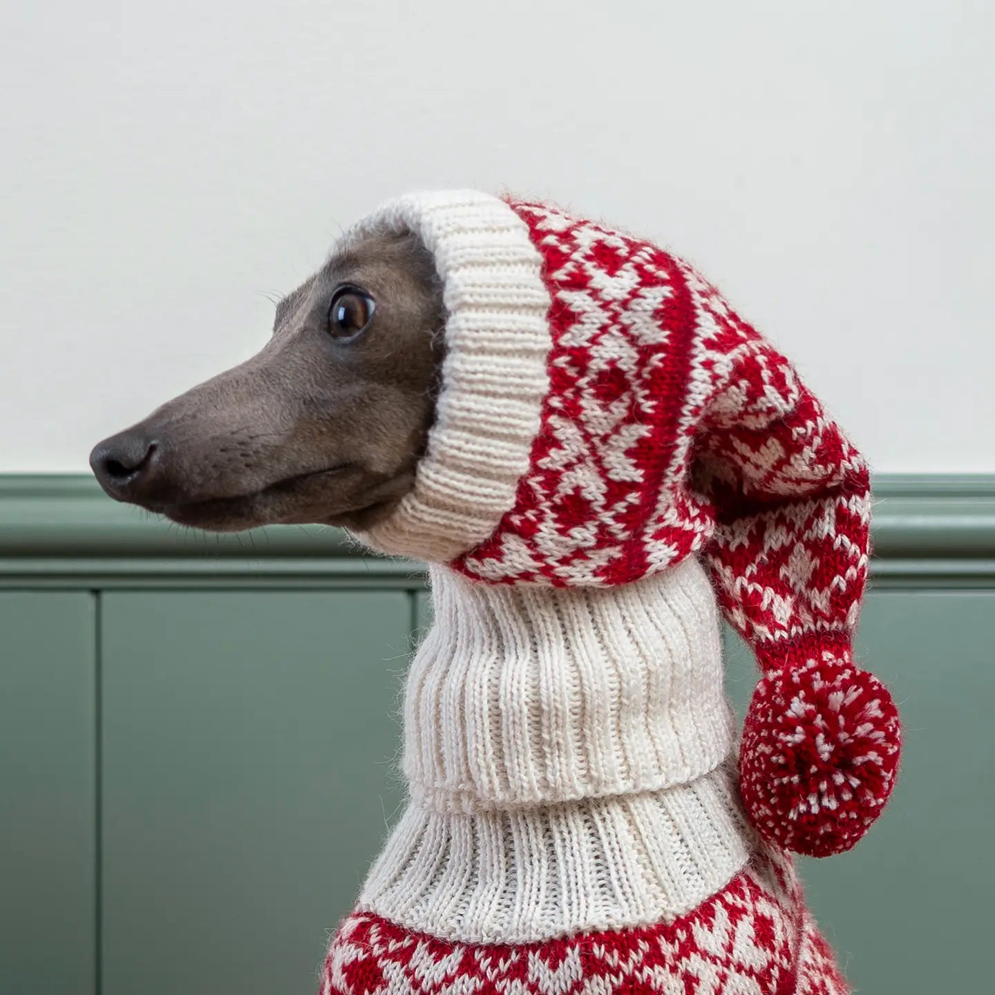 Christmas snowflake dog hat
