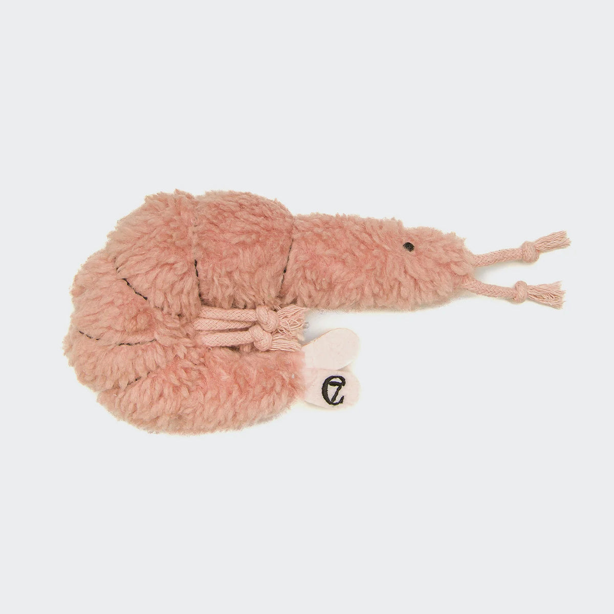 Shrimp Suzi