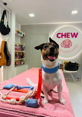 Riviera Collection - Capri