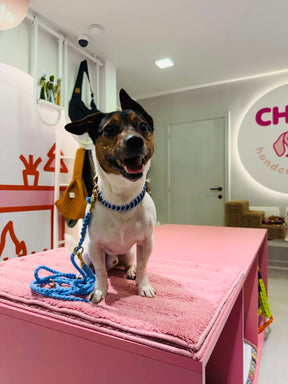 Riviera Collection - Nice halsband