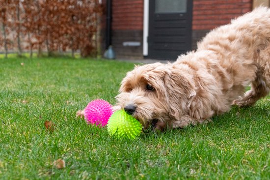 Spikey bal neon pink