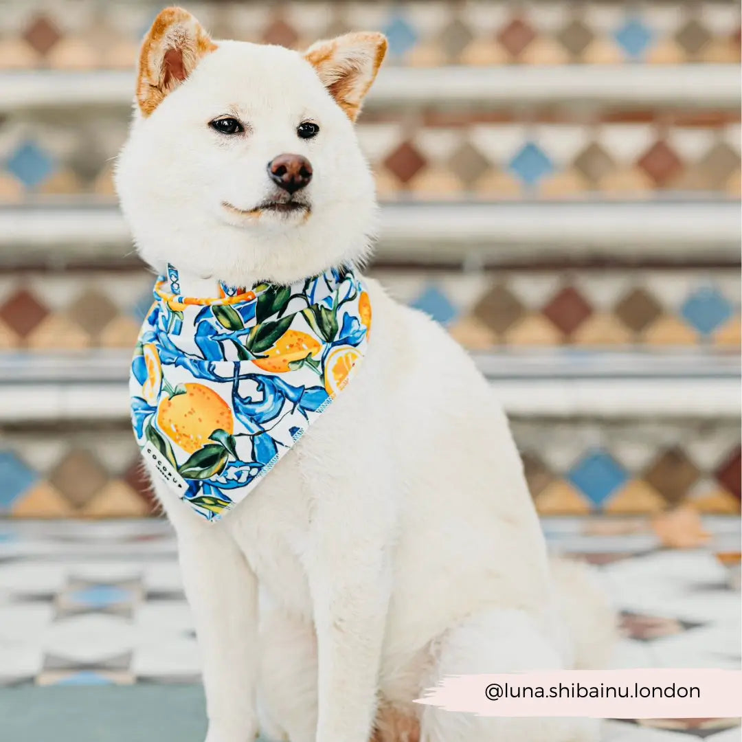 Bandana limone