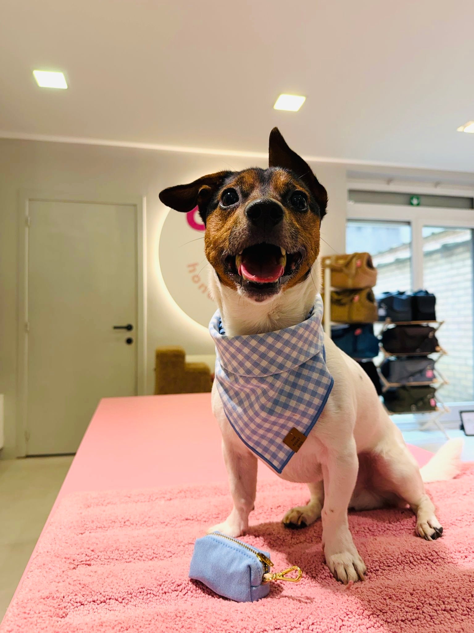 Blue Cambray poepzakhouder