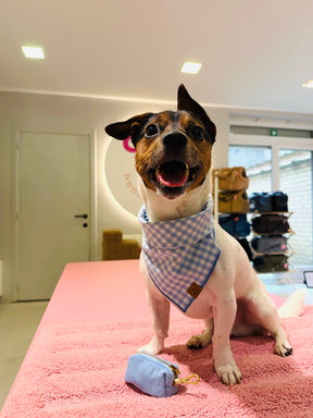 Blue Cambray poepzakhouder